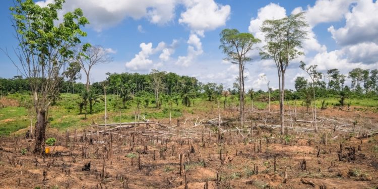 world bank supports ghana with 125 94m to tackle climate related agricultural losses