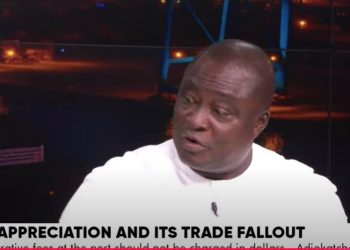 Administrative fees at ports shouldn’t be priced in dollars – Institute of Freight Forwarders