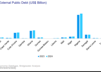 Africa’s debt sustainability worrying; Ghana’s debt increased by $6bn in 2024 – Report  
