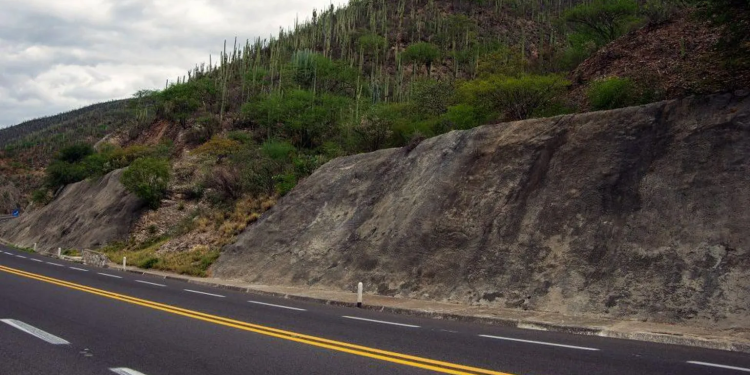 at least 21 killed in crash in mexico official says
