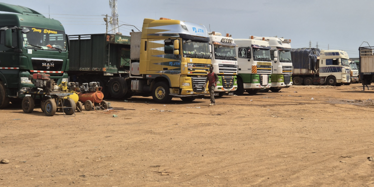 avoid the harassment of transit truck drivers professor gyampo