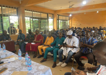 Bole Assembly endorses President’s nominee despite youth agitation and tensions