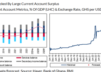Cedi to end 2025 at GH¢15.50 to one US dollar – Fitch Solutions
