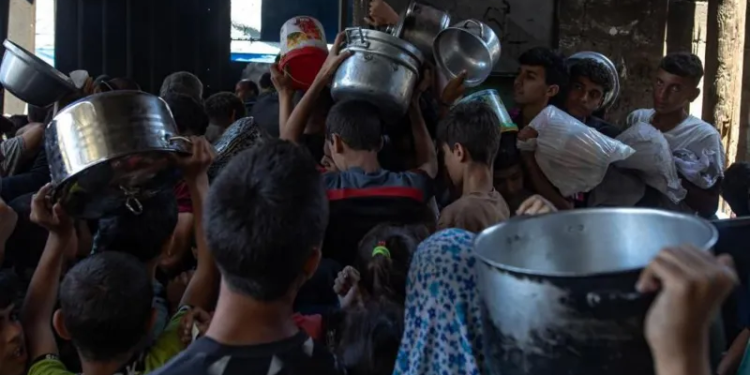 chaos spreads as desperate gazans wait for food to arrive