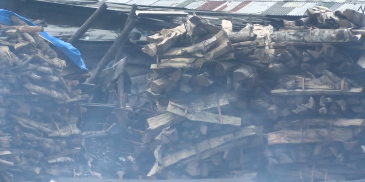 deforestation and household pollution joynews and german embassy climate talks targets ghanas clean cooking future
