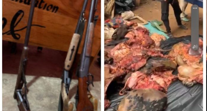 e r 11 in police grip for killing 28 cattle belonging to fulani herdsmen at kwahu pepease