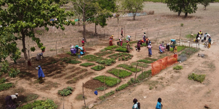 ending hunger one household farm at a time
