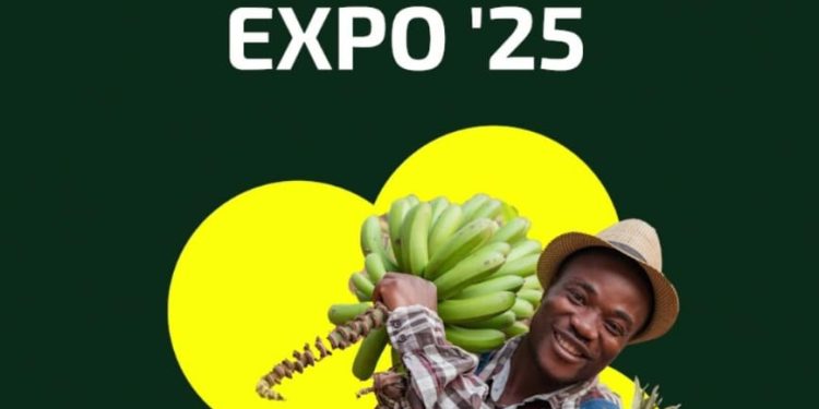 exploring the significance of ghana horticulture expo in advancing sector and natl devt