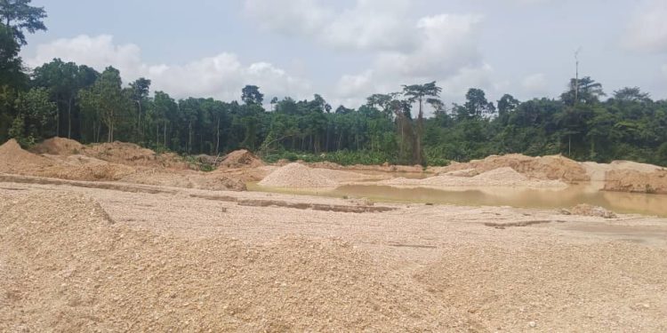 forestry commission demands permanent military presence to reclaim jimirah forest from illegal miners