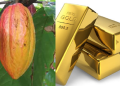 Ghana could benefit from gold, cocoa export to support cedi – Absa report