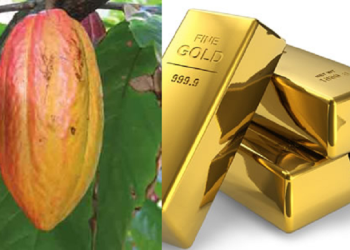 Ghana could benefit from gold, cocoa export to support cedi – Absa report