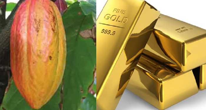 ghana could benefit from gold cocoa export to support cedi absa report