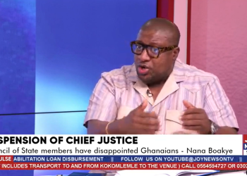 ‘Ghana was not auctioned to you’ – Nana B to Mahama