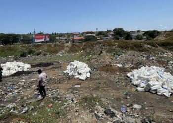 GRA collaborates with FDA, GSA to seize and destroy 850 smuggled ‘Orexi’ diapers