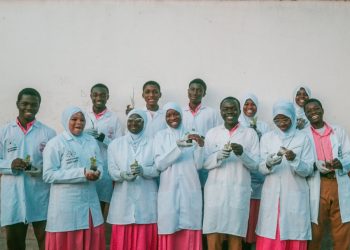 How young entrepreneurs are revolutionising Ghana’s aquaponic Industry, advancing food security and sustainable farming practices