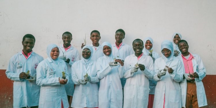 how young entrepreneurs are revolutionising ghanas aquaponic industry advancing food security and sustainable farming practices