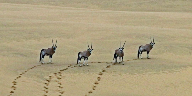 Johannesburg to host 7th Africa Youth in Tourism Innovation Summit 1 johannesburg to host 7th africa youth in tourism innovation summit