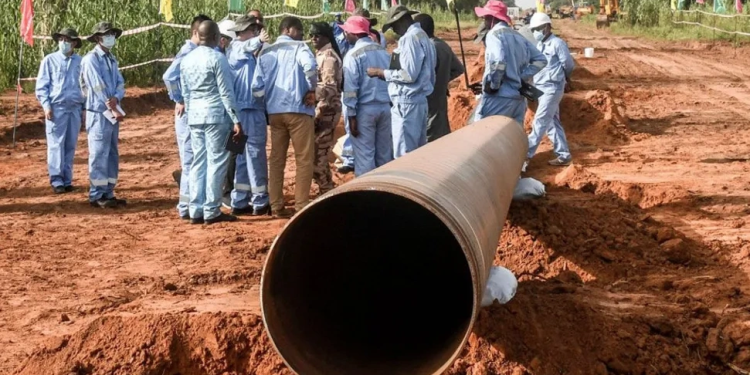 niger plans to cut number of chinese oil workers documents show