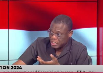 ‘NPP wants applause for cedi stability, but not the blame for Its collapse’ – Fifi Kwetey