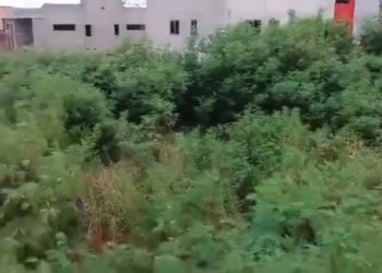 NSA Boss visits reptile-breeding Azumah Nelson Youth Centre