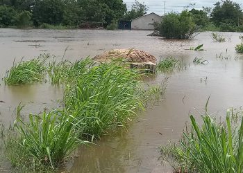 Residents blame poor drainage planning for deadly Lakeside floods