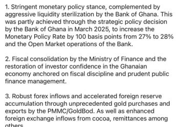 Sammy Gyamfi lists 3 key NDC interventions behind Cedi appreciation