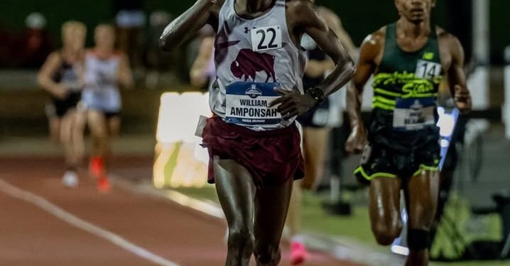 william amponsah wins ncaa dii 10000m title