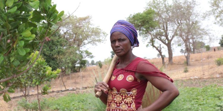 world vision ghana launches border project to support communities in u e and u w regions