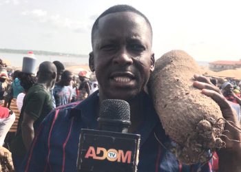 Yam prices surge at Dambai market as season unfolds