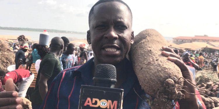 yam prices surge at dambai market as season unfolds