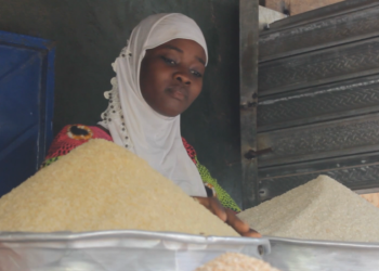 Youth urged to take advantage of opportunities in rice value chain