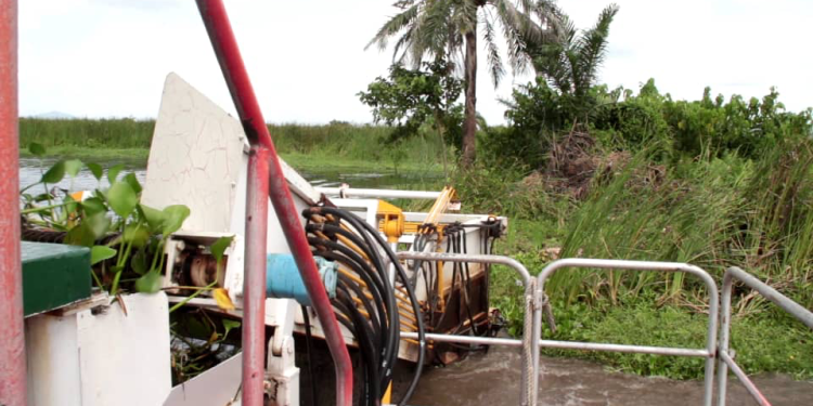aquatic weeds are threats hydro power water transport maritime authority