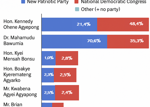 bawumia dominates but ndc supporters back ken agyapong in npp race survey