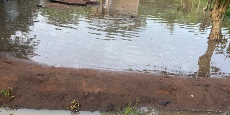 deputy finance minister supports flood victims in frankadua