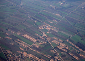 Egypt halts fertiliser production as Israeli gas disruptions deepen energy strain