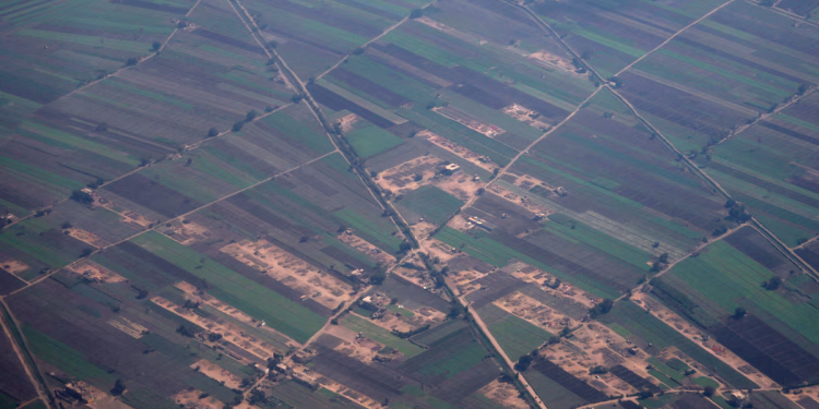 egypt halts fertiliser production as israeli gas disruptions deepen energy strain