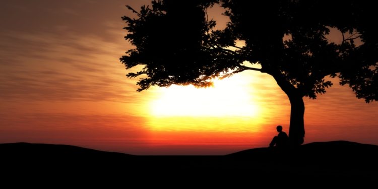 everyone wants to stand in the shade but nobody wants to plant a tree