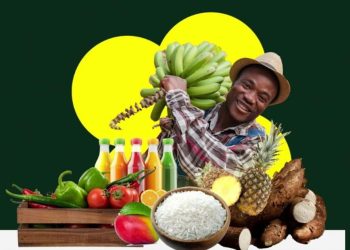 Ghana Horticulture Expo 2025 to empower youth and women through agribusiness
