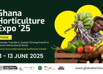 Ghana’s green gold takes center stage: FAGE and GEPA set the pace for sustainable export transformation