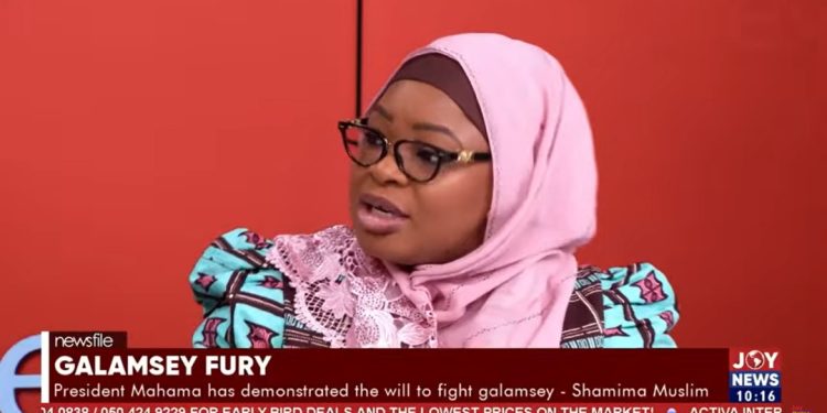 govt officials involved in galamsey will face full force of the law shamima muslim reiterates