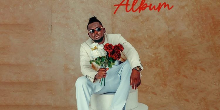 i make about ghe282b530000 a month from selling cds of my songs wan o