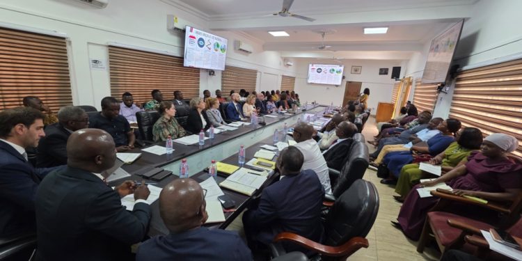 imcc hosts high level dialogue to boost ghanas decentralisation agenda