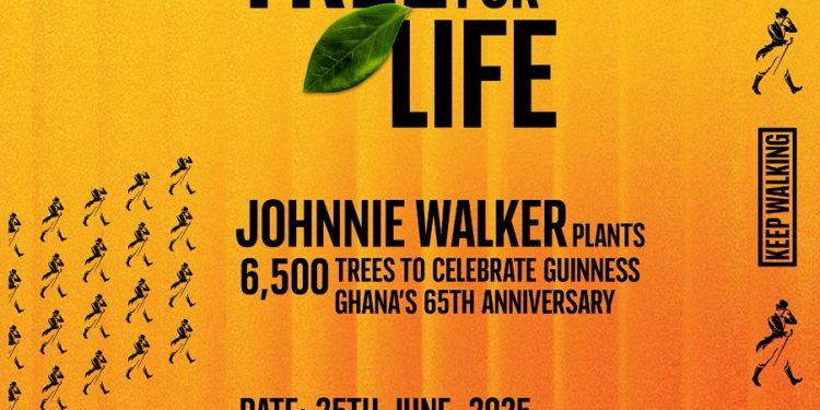 johnnie walker plants 6500 tree for life in chipa forest reserve to celebrate guinness ghanas 65th anniversary