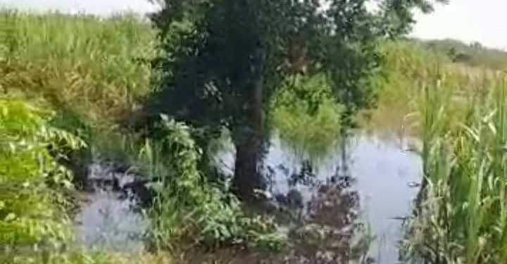 keta flood disaster residents cry for help as schoolchildren wade through water