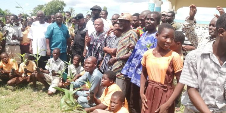 keta mce forestry commission launch tree for life initiative at tsiame