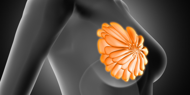 knust researchers develop ai model to enhance breast cancer diagnosis