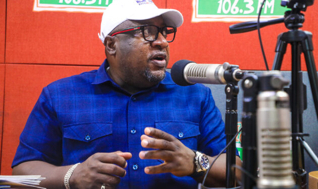 nana b opposes endorsements by former mmdces warns of division ahead of npp primary