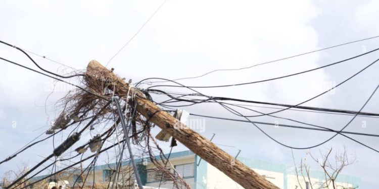 nedco urges public to prioritise safety amidst rainstorms flooding and power outages