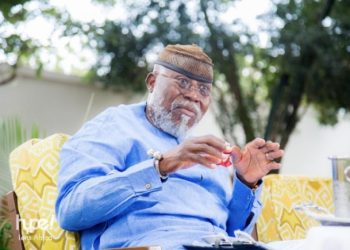 Nyaho-Tamakloe flaws NPP’s leadership choice of early flagbearer election