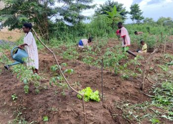 QET Organic Farms cultivates young farmers with ‘Growing Green Minds’